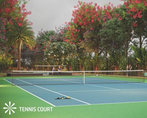  meadows Tennis Court