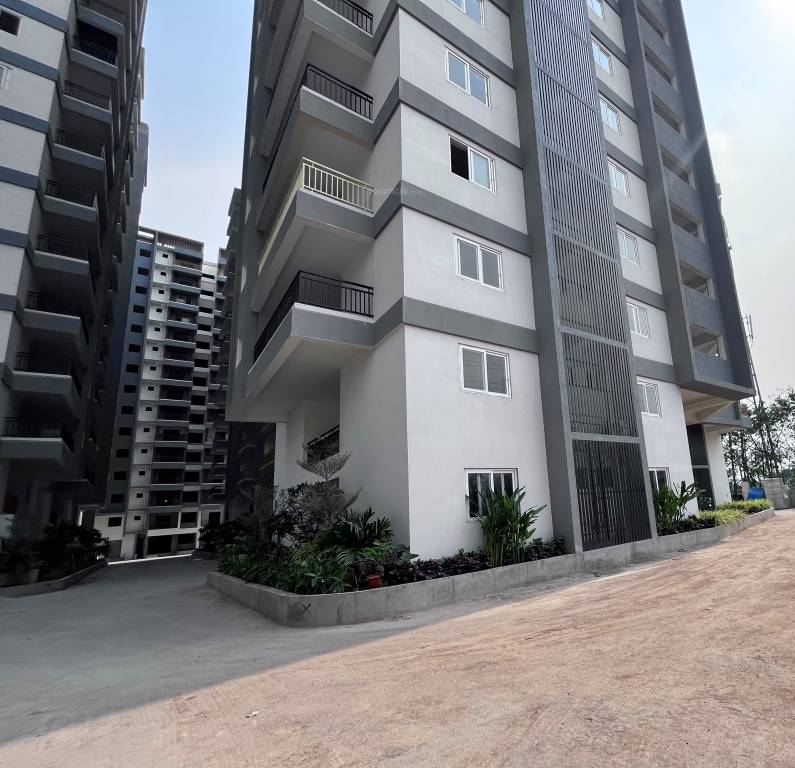  pranav solitaire Paved Compound