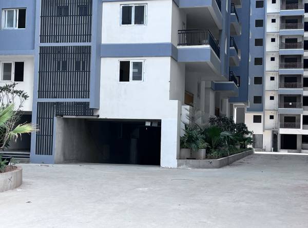  pranav-solitaire Paved Compound