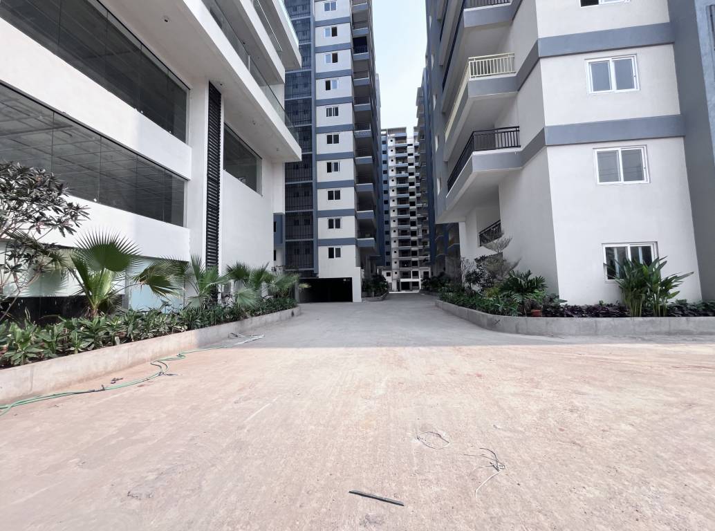  pranav solitaire Paved Compound