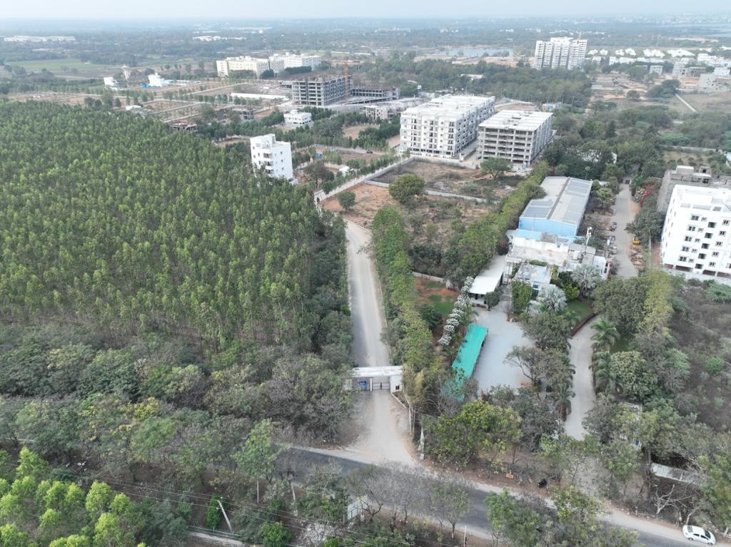  cedar Construction Status Feb 24