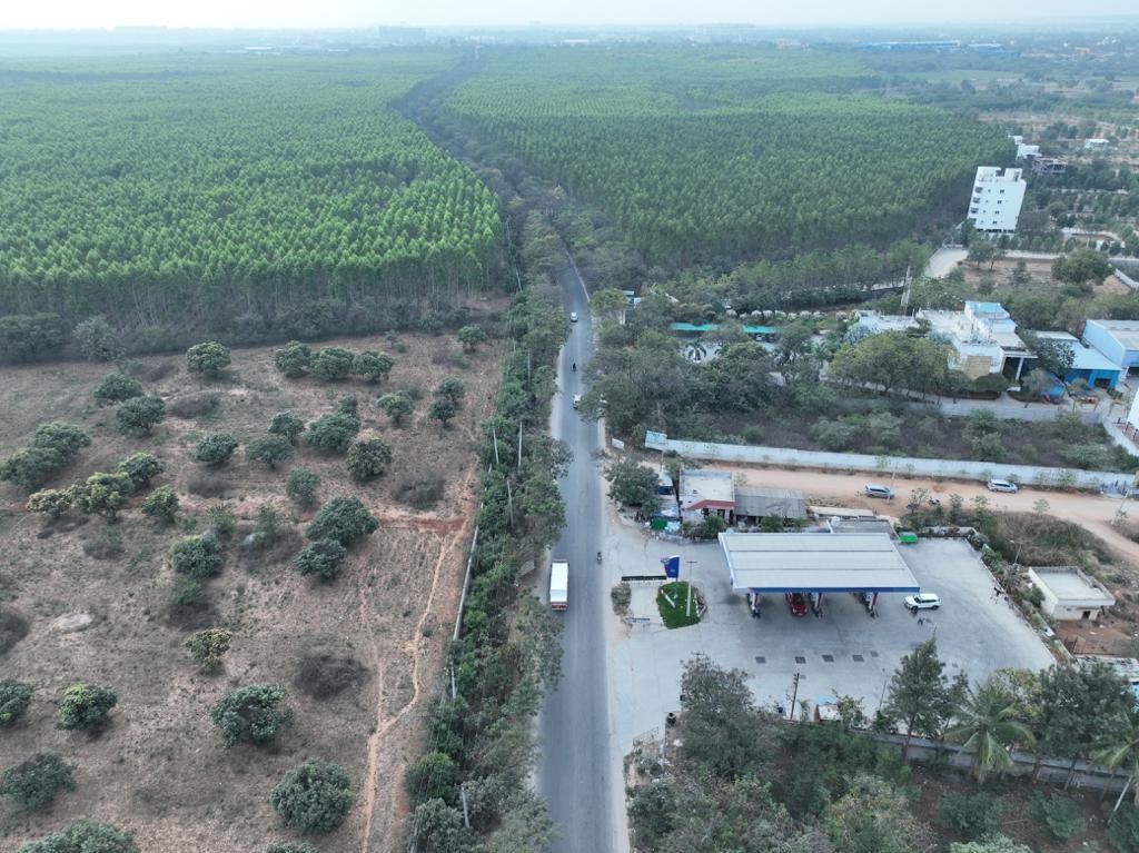  cedar Construction Status Feb 24