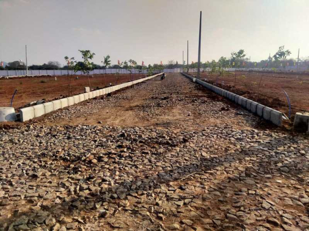  treasure county Plot