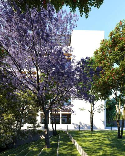  a-grove-by-the-lake Landscape Garden and Tree Planting