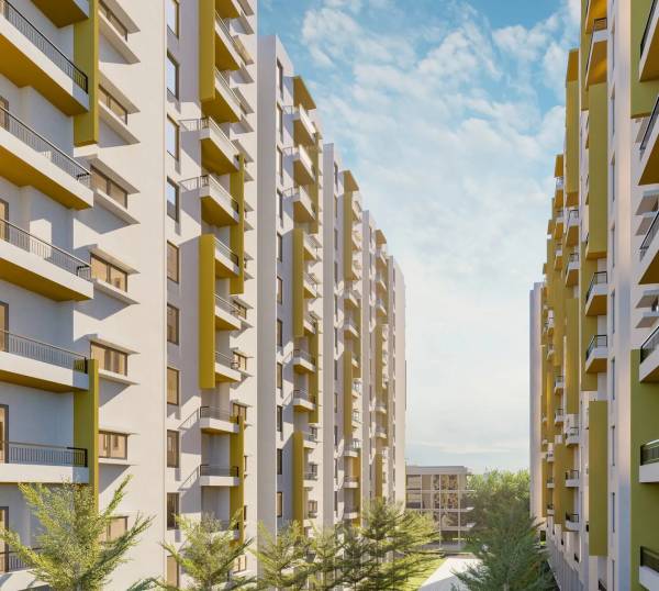  a-grove-by-the-lake Paved Compound