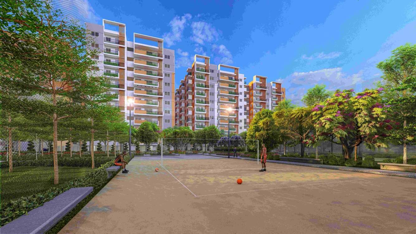  vedant Basketball Court
