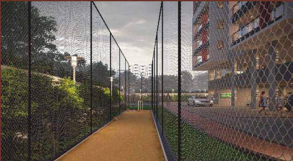  vibhuman Cricket Pitch