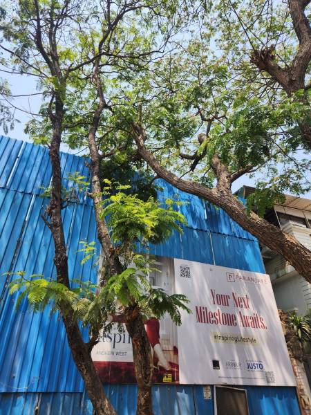  aspire Construction Status May-24