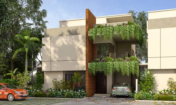  urban-commune Elevation