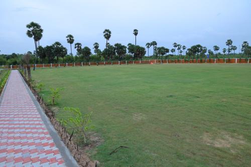  beach-woods Landscape Garden and Tree Planting