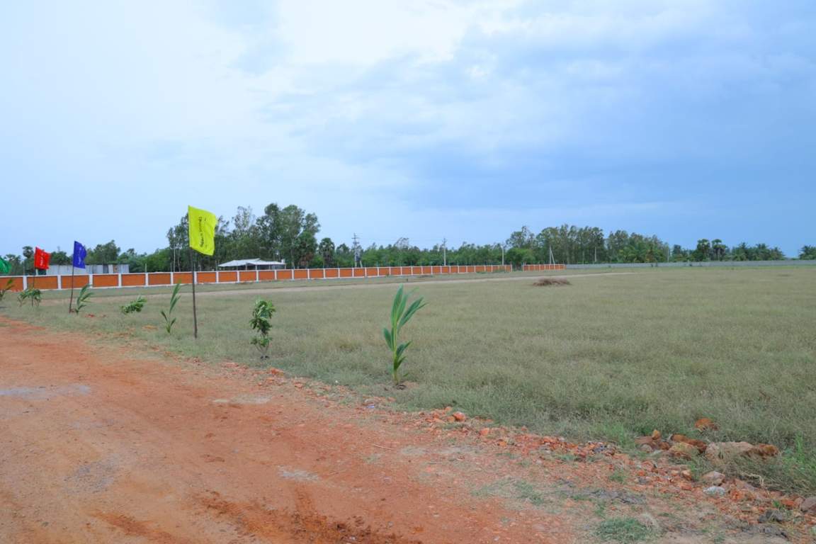  beach woods Plot
