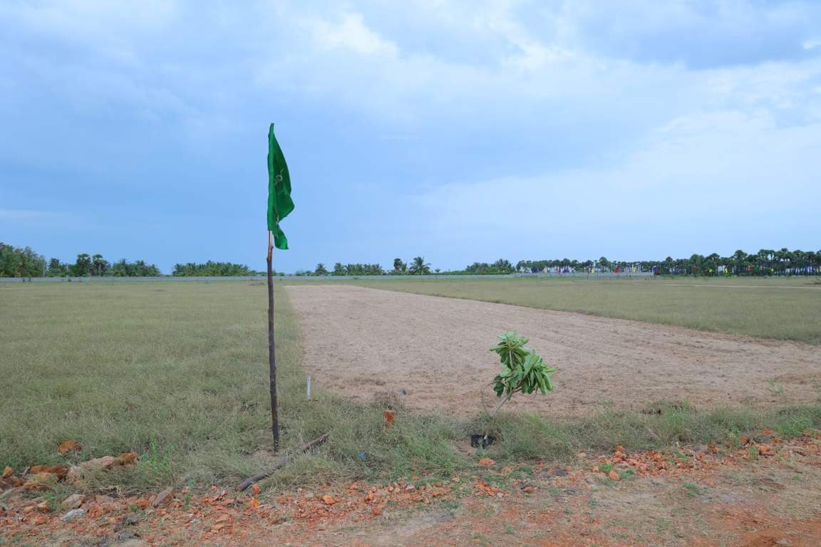  beach woods Plot