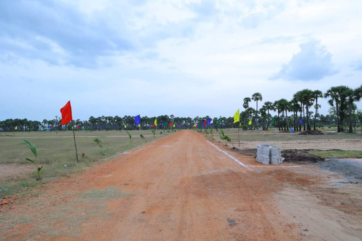  beach woods Plot