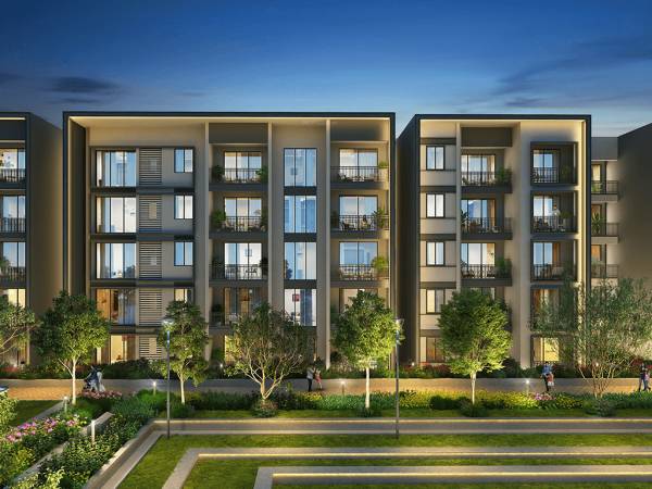 Elevation hazen Elevation