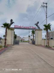 Project Image Project Image