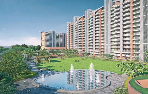 Elevation amarah Elevation