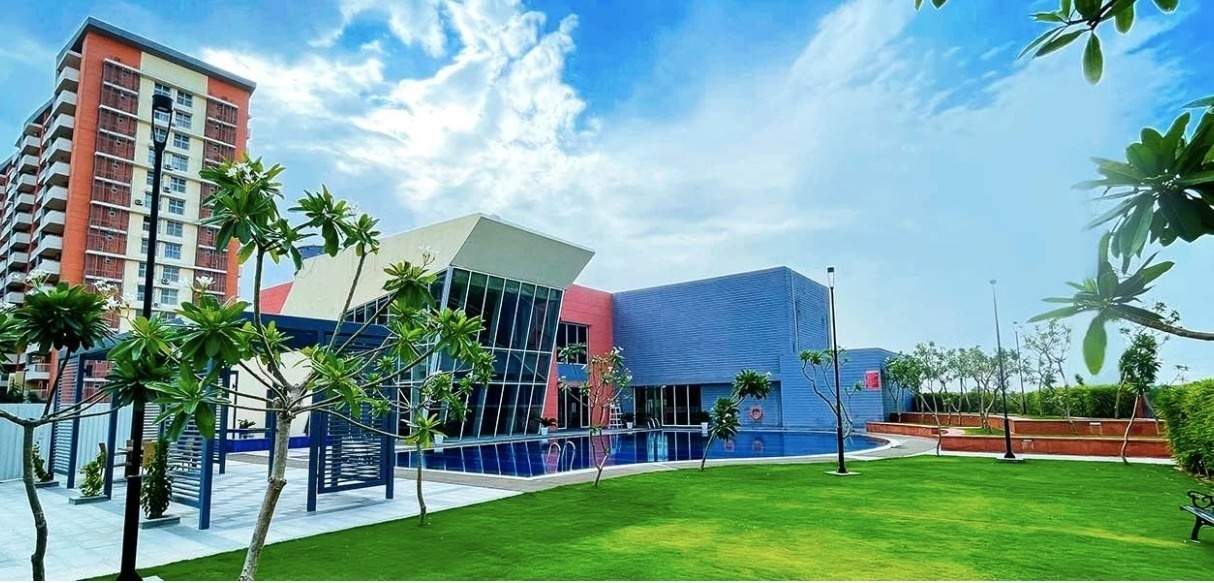 amarah Landscape Garden and Tree Planting