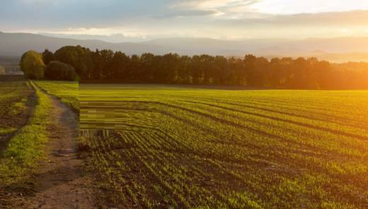 brundavan Elevation Elevation