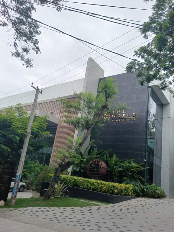  the world at jubilee hills Others