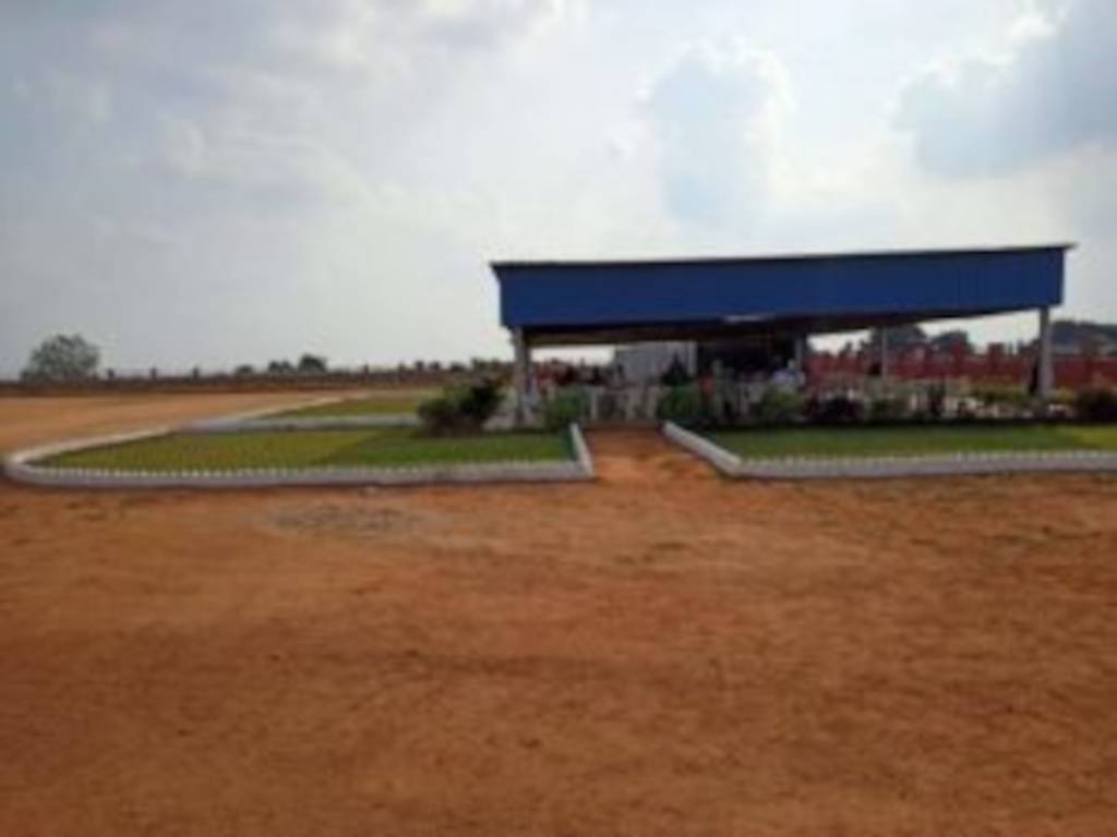  spring grand vip Plot