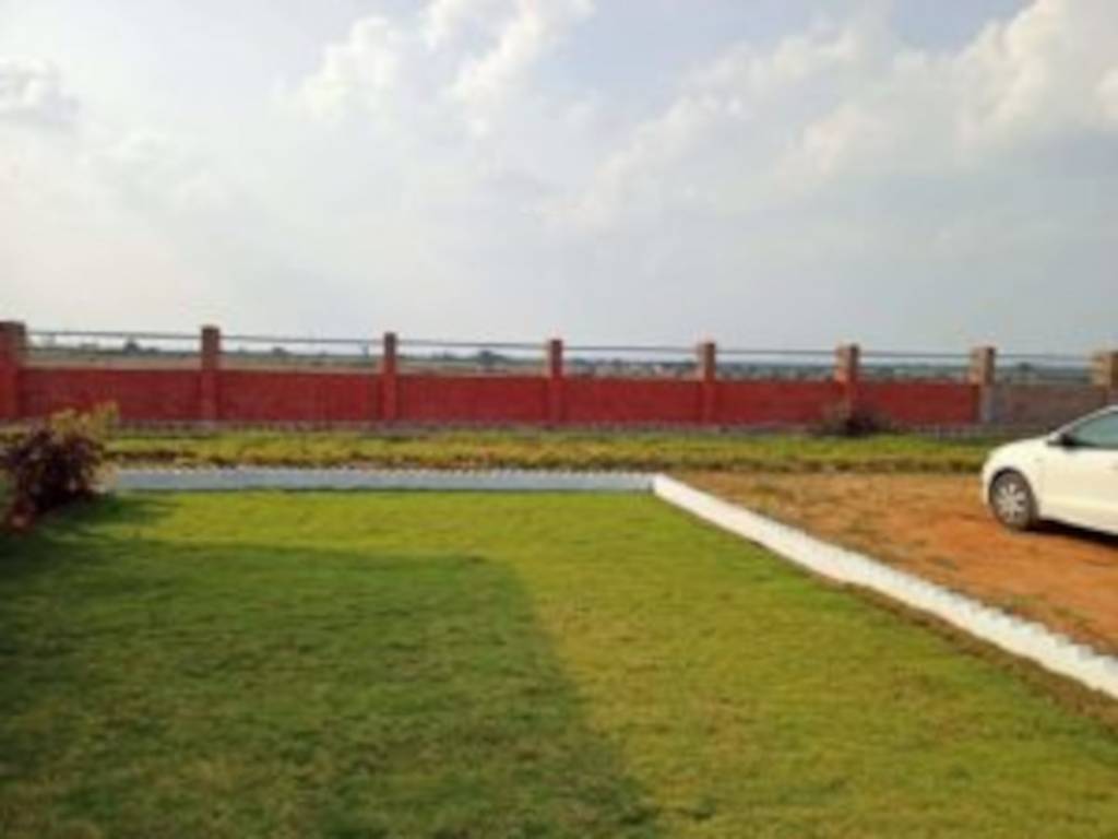  spring grand vip Plot