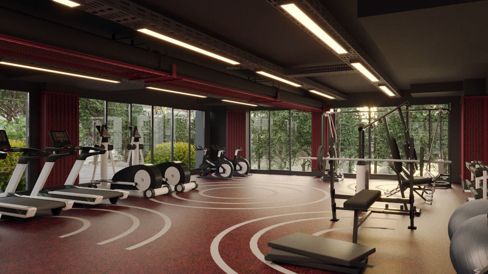  ambience parkview Gymnasium