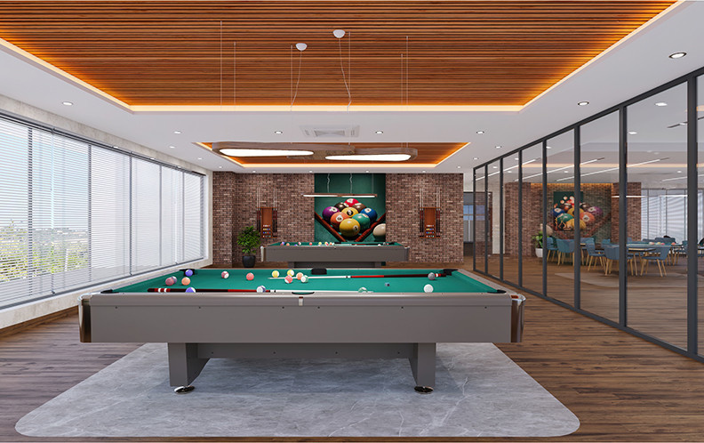  tapovan Billiards/Snooker Table