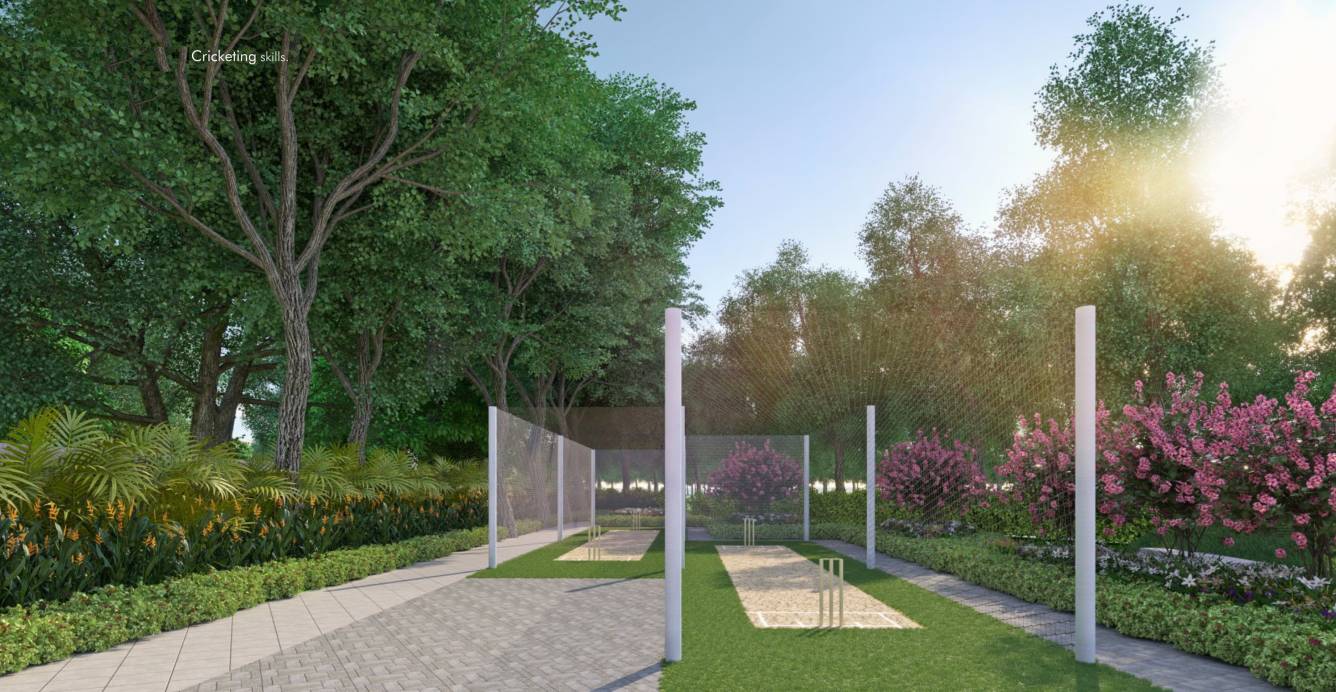  tapovan Cricket Pitch