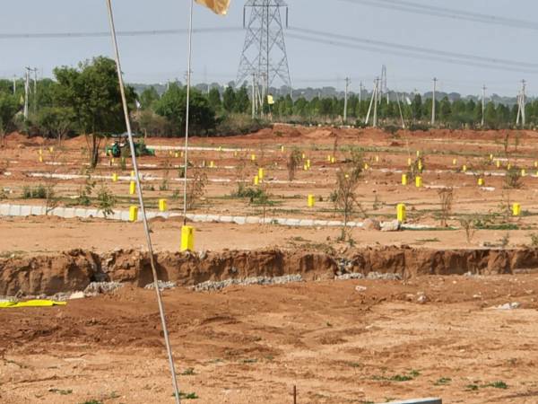  lotus-gardens-premium- Plot