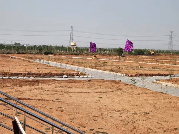  lotus-gardens-premium- Plot