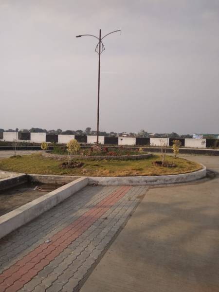  cosmos- Paved Compound