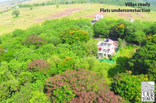  our-town Landscape Garden and Tree Planting