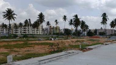 Elevation the-golden-wattle Elevation