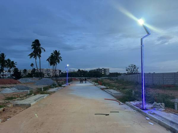  the-golden-wattle Plot