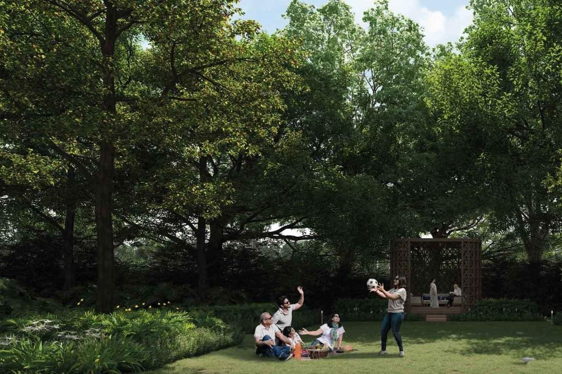 vaanya Landscape Garden and Tree Planting