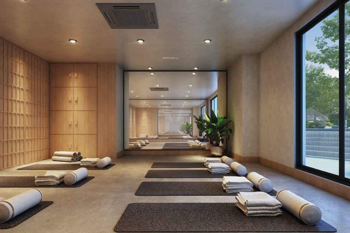 vaanya Yoga/ Meditation Area