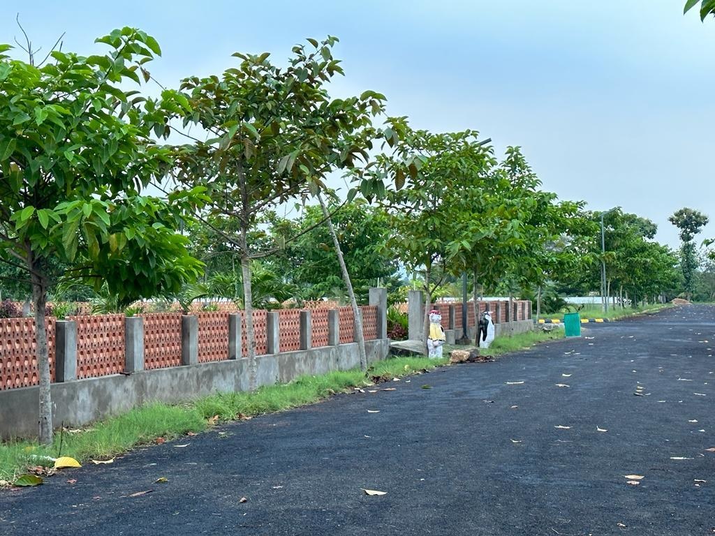 dwaraka Plot