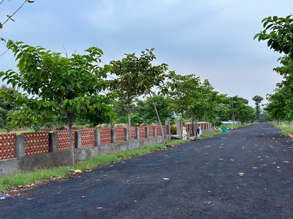 dwaraka Plot