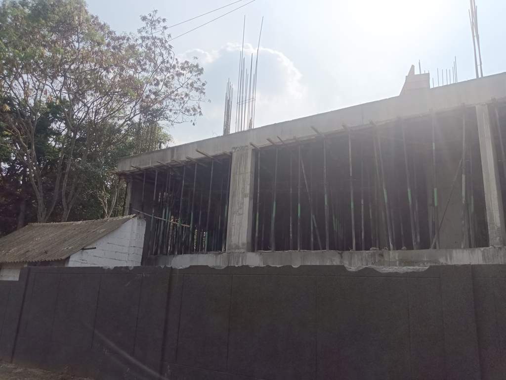  wild woods Construction Status May 24