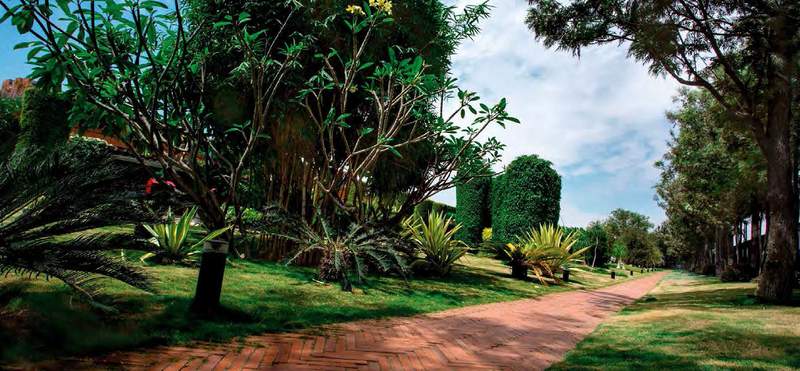  songs from the wood phase 2 Others