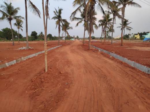 rail-valley-layout Elevation Elevation