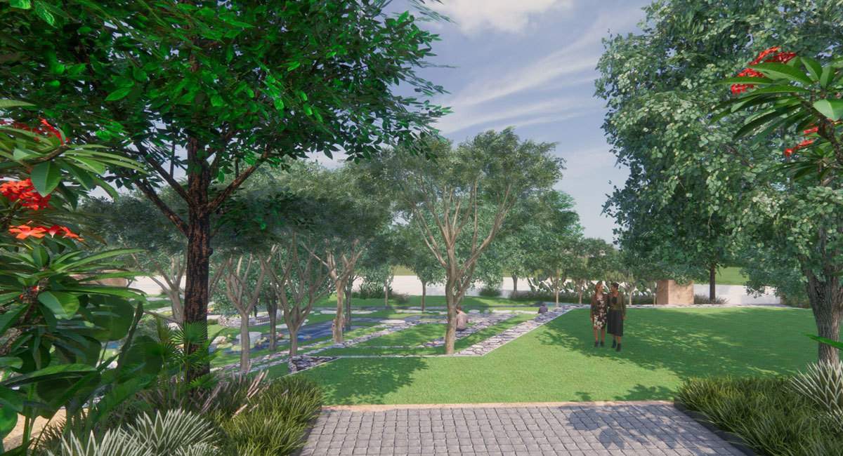  floresta Landscape Garden and Tree Planting