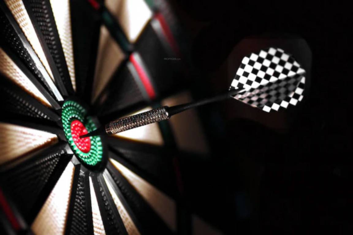  park view Dart Board