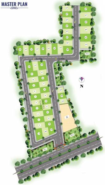 Master Plan orchid Master Plan