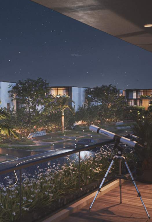  riverscape Landscape Garden and Tree Planting