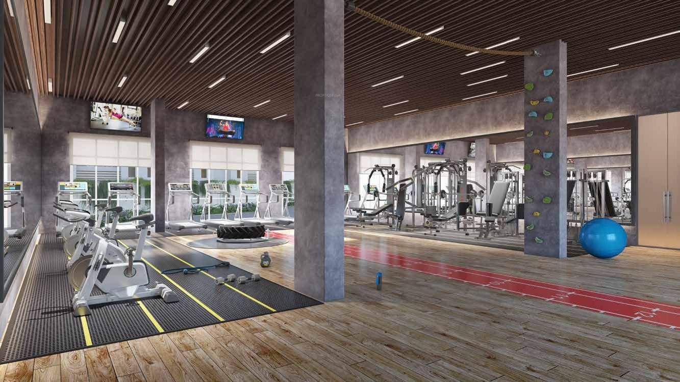 blissville Gymnasium