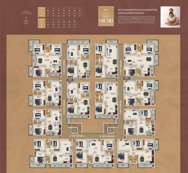  orchid Orchid Cluster Plan