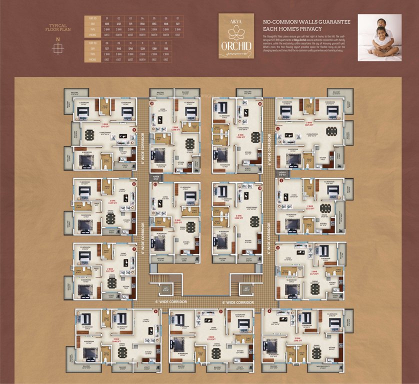  orchid Orchid Cluster Plan
