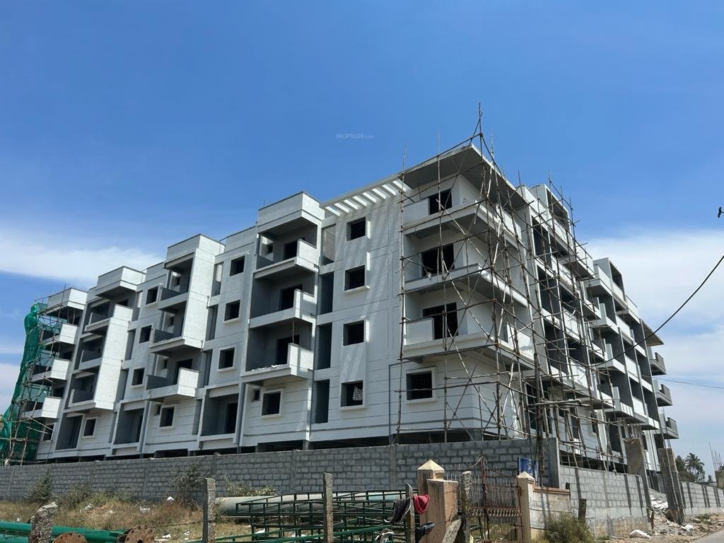  orchid Orchid Construction Status March 23