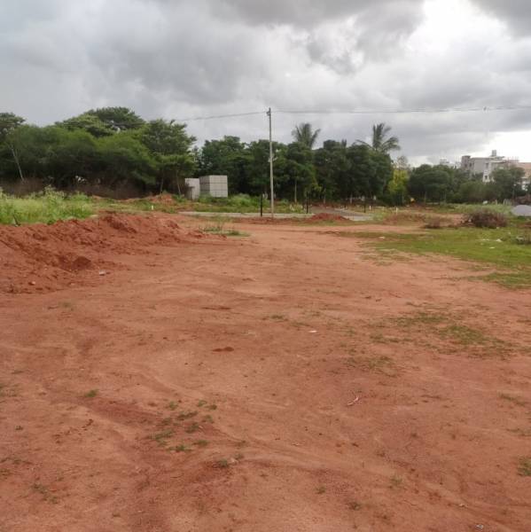  orchard-avenue-phase-ii Elevation